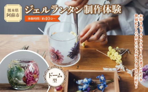 ジェルランタン制作体験 （ドーム型）1つ制作 熊本・阿蘇の草花を使ったお好きなドライフラワーをお選びいただき世界で一つだけのオリジナルキャンドルホルダー制作が出来る