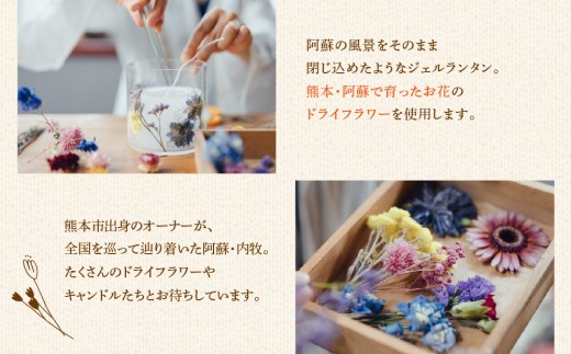 ジェルランタン制作体験 （ドーム型）1つ制作 熊本・阿蘇の草花を使ったお好きなドライフラワーをお選びいただき世界で一つだけのオリジナルキャンドルホルダー制作が出来る