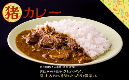 【ジビエカレー専門店】 ジビエ カレー セット ジビエカレー ジビエカレーセット じびえ ジビエ 猪 鹿 猪肉 鹿肉 猪カレー 鹿カレー スパイスカレー すぱいす オリジナルスパイス カレーセット