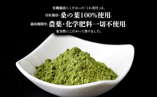 青汁 200g 2袋 計400g 青汁 あおじる 桑青汁 くわ青汁  粉末 粉末青汁 桑の葉小分け 小分けパック 有機栽培 丸山農園 オーガニック 防腐剤 化学肥料 保存料 防腐剤 着色剤 常温 熊本