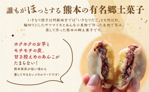 熊本特産品 いきなりだんご 20個 冷凍保存可 阿蘇 スイーツ スウィーツ あんこ サツマイモ 和菓子 個包装 贈り物 贈答用 ギフト お取り寄せ 熊本 阿蘇 素朴 なつかしい 銘菓 特産  熊本県