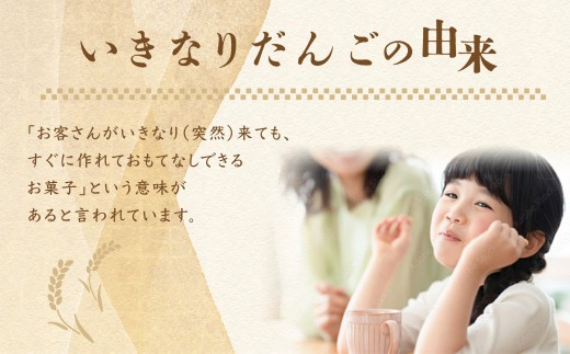 【熊本特産品】 いきなりだんご セット 4種 4個ずつ 計16個 10個 20個 いきなり団子 団子 だんご あんこ アンコ さつまいも サツマイモ さつま芋 いきなりだんごセット