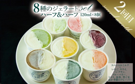 【定期便全3回】 阿蘇天然アイス アイスクリーム ジェラート 3回 毎月 定期 定期便 3回 アイスクリーム あいすくりーむ ジェラート じぇらーと アイス あいす ジェラートセット