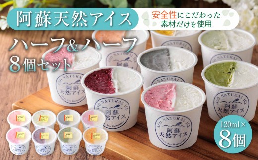 【阿蘇天然アイス】 ジェラート セット ハーフ＆ハーフ 8個 じぇらーと アイスクリーム あいすくりーむ アイス あいす ジェラートセット ジェラート詰め合わせ アイスクリームセット