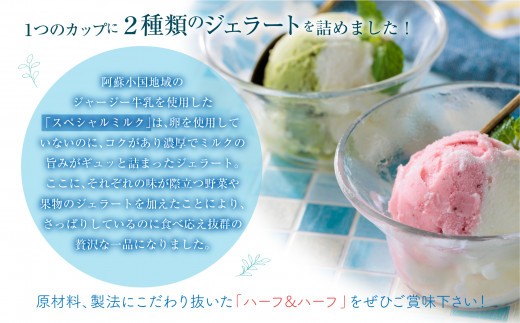【阿蘇天然アイス】 ジェラート セット ハーフ＆ハーフ 8個 じぇらーと アイスクリーム あいすくりーむ アイス あいす ジェラートセット ジェラート詰め合わせ アイスクリームセット