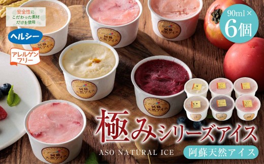 【阿蘇天然アイス】 ジェラート セット 極み シリーズ 6個 いちごアイス 玄米アイス トマトアイス 梅アイス ブルーベリーアイス じぇらーと アイスクリーム あいすくりーむ アイス あいす