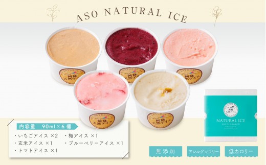 【阿蘇天然アイス】 ジェラート セット 極み シリーズ 6個 いちごアイス 玄米アイス トマトアイス 梅アイス ブルーベリーアイス じぇらーと アイスクリーム あいすくりーむ アイス あいす