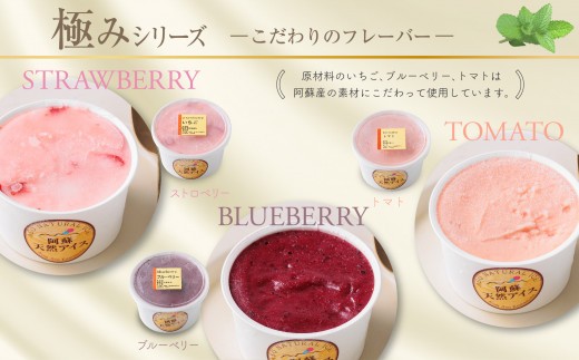 【阿蘇天然アイス】 ジェラート セット 極み シリーズ 6個 いちごアイス 玄米アイス トマトアイス 梅アイス ブルーベリーアイス じぇらーと アイスクリーム あいすくりーむ アイス あいす