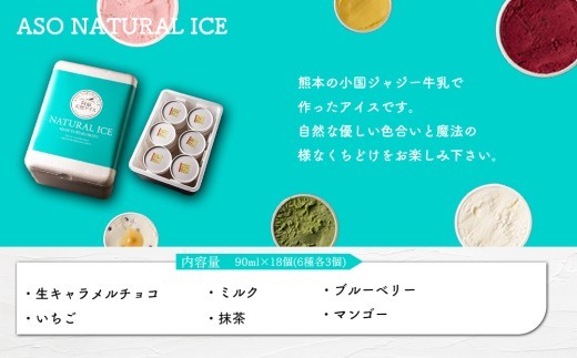 【阿蘇天然アイス】 ジェラート セット 6種 3個 計18個 生キャラメル チョコ ブルーベリー 抹茶 いちご マンゴー ミルク じぇらーと アイスクリーム あいすくりーむ アイス あいす ジェラート