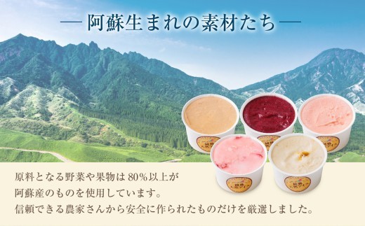 【阿蘇天然アイス】 ジェラート セット 6種 3個 計18個 生キャラメル チョコ ブルーベリー 抹茶 いちご マンゴー ミルク じぇらーと アイスクリーム あいすくりーむ アイス あいす ジェラート