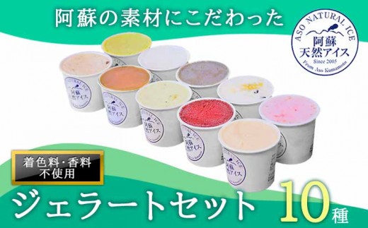 【阿蘇天然アイス】 ジェラート セット 120cc 10個 じぇらーと アイスクリーム あいすくりーむ アイス あいす 玄米 ブルーベリー ミルク ラムレーズン ベルギーチョコ 生キャラメル