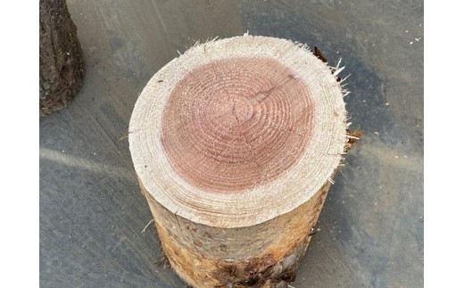 阿蘇の薪 針葉樹20kg（10kg×2箱）乾燥済み すぐに使える 焚き火 薪ストーブ キャンプ アウトドア 熊本産 広葉樹100％ 大容量 備蓄用 まとめ買い 燃料 堅木