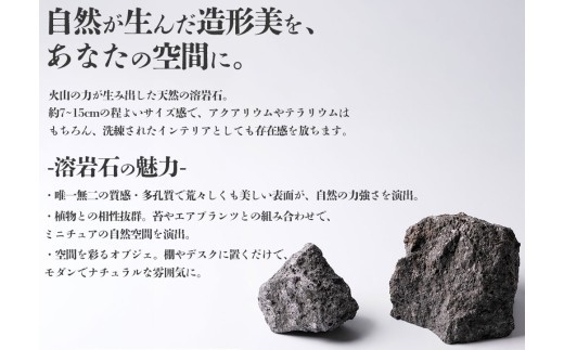 阿蘇溶岩石 サイズはお任せ3kgセット 石 日用品 石 溶岩石 玄武岩 インテリア アクアリウム テラリウム 造園 趣味 ガーデニング 置物 自宅用 贈り物 自然