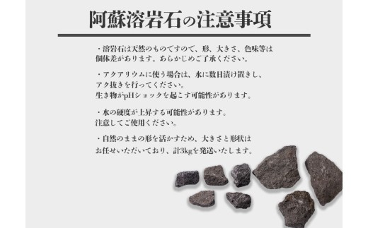 阿蘇溶岩石 サイズはお任せ3kgセット 石 日用品 石 溶岩石 玄武岩 インテリア アクアリウム テラリウム 造園 趣味 ガーデニング 置物 自宅用 贈り物 自然
