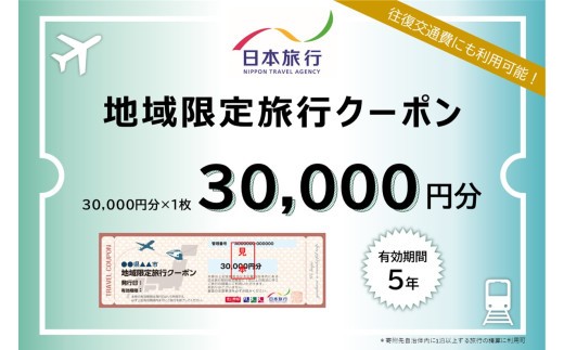 【ふるさと納税】地域限定旅行クーポン 阿蘇市 ふるさと納税 阿蘇 熊本県阿蘇市 熊本県 温泉 旅行 観光 宿泊 日本旅行 旅行 30,000円分 30,000円×1枚