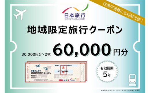 【ふるさと納税】地域限定旅行クーポン 阿蘇市 ふるさと納税 阿蘇 熊本県阿蘇市 熊本県 温泉 旅行 観光 宿泊 日本旅行 旅行 60,000円分 30,000円×2枚