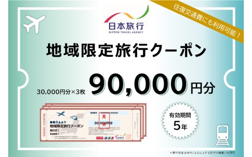 【ふるさと納税】地域限定旅行クーポン 阿蘇市 ふるさと納税 阿蘇 熊本県阿蘇市 熊本県 温泉 旅行 観光 宿泊 日本旅行 旅行 90,000円分 30,000円×3枚