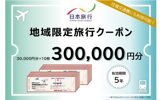【ふるさと納税】地域限定旅行クーポン 阿蘇市 ふるさと納税 阿蘇 熊本県阿蘇市 熊本県 温泉 旅行 観光 宿泊 日本旅行 旅行 300,000円分 30,000円×10枚