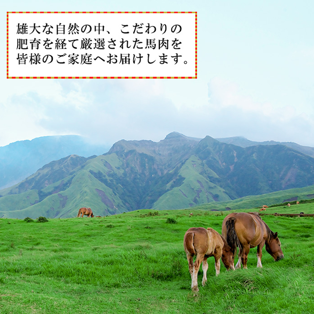 【馬刺しナンバーワン】熊本肥育 馬刺し5種 250g 赤身 特上赤身 中トロ コーネ 馬ユッケ 人気 希少部位 定番 小分け 食べきり タレ付 真空パック チルド 冷凍