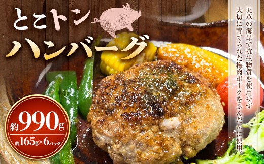 とこトンハンバーグ 165g×6パック
