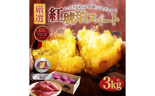 2024 2025 さつまいも博 シルクスイート