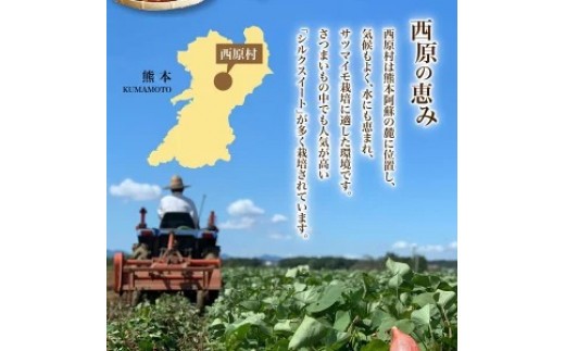 サイズが選べる 西原村産 紅琥珀スイート（R） （シルクスイート） 約3kg箱 さつまいも 芋 サツマイモ いも イモ しるくすいーと 熊本県 西原村 【2026年12月上旬～2027年2月下旬発送予