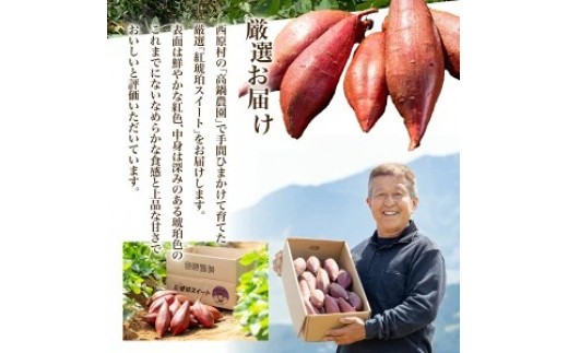 サイズが選べる 西原村産 紅琥珀スイート（R） （シルクスイート） 約3kg箱 さつまいも 芋 サツマイモ いも イモ しるくすいーと 熊本県 西原村 【2026年12月上旬～2027年2月下旬発送予