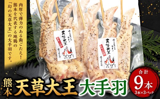 熊本 天草大王 大手羽 9本