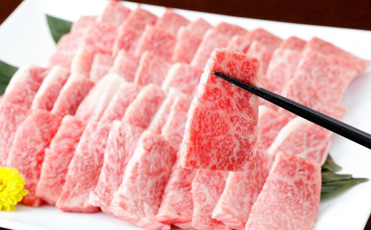 くまもと黒毛和牛 焼き肉用ロース 600g（300g×2パック） 牛肉 牛 肉 黒毛和牛 和牛 お取り寄せ 焼肉 ロース