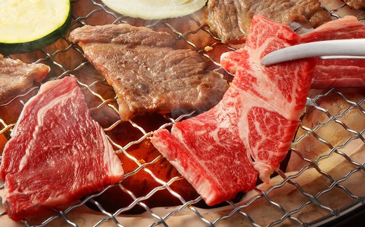【12ヶ月定期便】あか牛焼き肉用カット（バラ、ロース） 約500g 計約6,000g 赤牛 あか牛 牛肉 熊本 バラ ロース カット肉 定期便 熊本県 西原村 冷凍