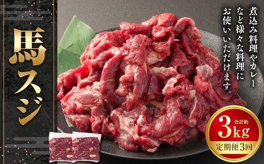 【3ヶ月定期便】馬スジ 約1kg 計約3kg 馬スジ 馬すじ 馬肉 馬 肉 すじ肉 煮込み 定期便 熊本県 西原村 冷凍