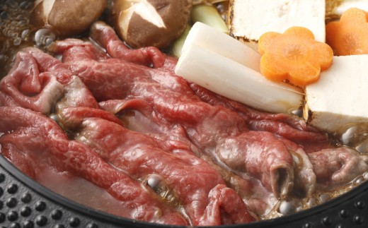 【5ヶ月毎3回定期便】 くまもとあか牛モモスライス 計約900g（約300g×3回） 牛肉 お肉 あか牛