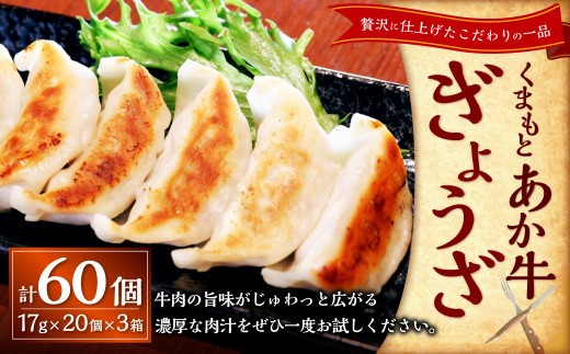 熊本和牛あか牛ぎょうざ60個 あか牛ぎょうざ20個入り×3箱
