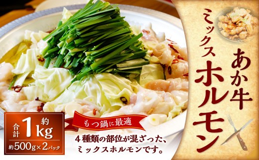 熊本和牛あか牛ホルモン約1kg（約500g×2）あか牛 もつ鍋 焼肉 ホルモン 焼き BBQ