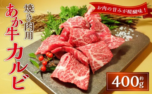 あか牛ロースステーキ あか牛ロースステーキ約200g×2枚
