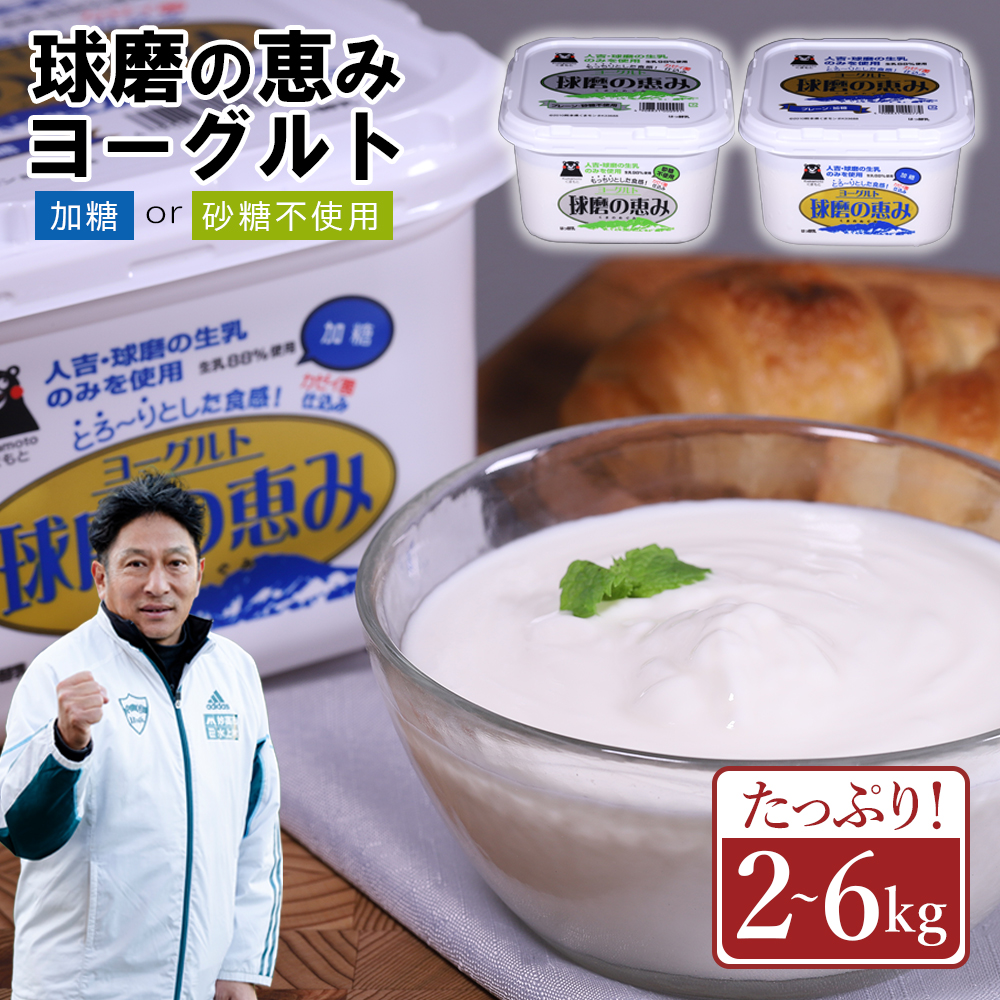 球磨の恵みヨーグルト 加糖 or 砂糖不使用 2~6kg