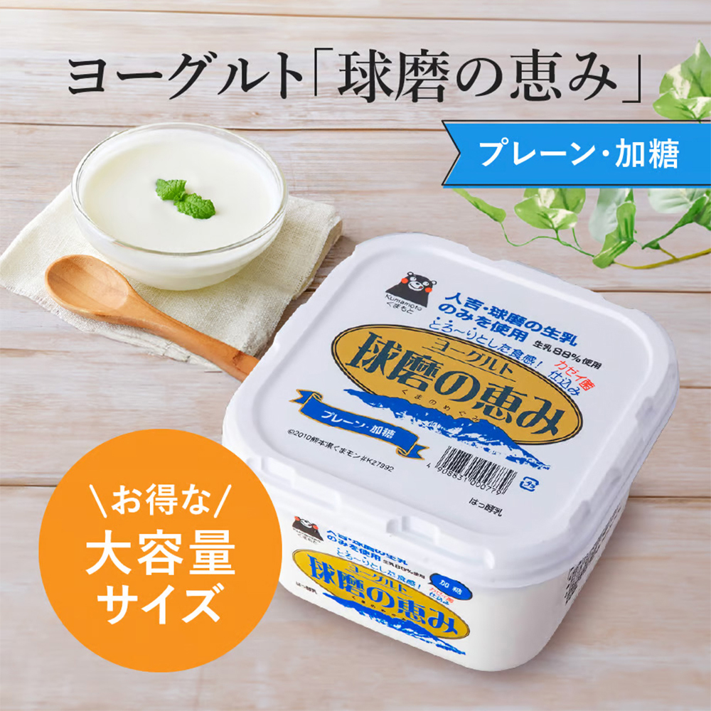 球磨の恵みヨーグルト 加糖 or 砂糖不使用 2~6kg
