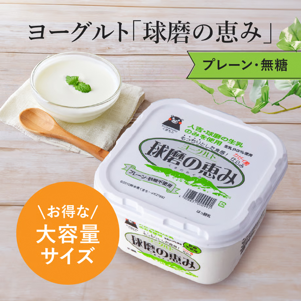 球磨の恵みヨーグルト 加糖 or 砂糖不使用 2~6kg