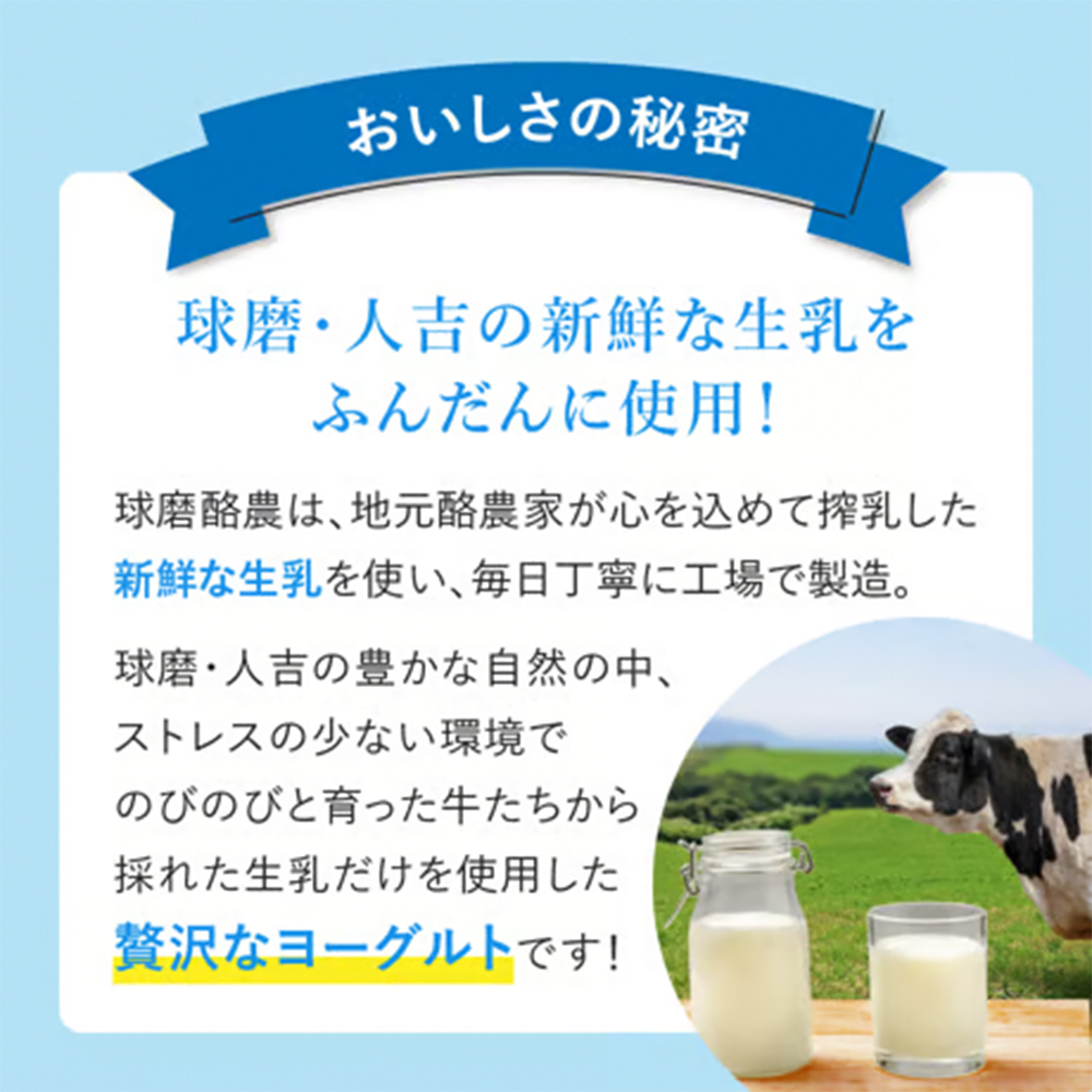 球磨の恵みヨーグルト 加糖 or 砂糖不使用 2~6kg