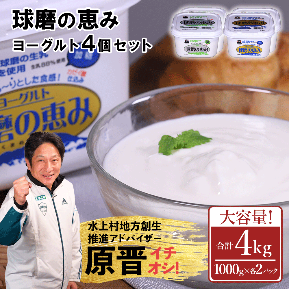 球磨の恵みヨーグルト 4kg 加糖・砂糖不使用(プレーン) 1000g×各2個 合計4個セット 無糖 送料無料 熊本県 水上村