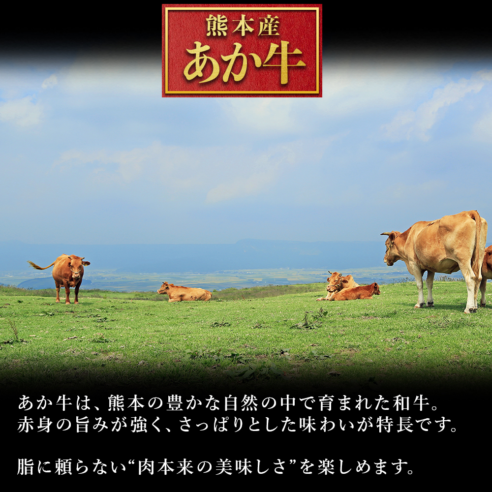 熊本県産 あか牛 ローストビーフ 500g ロースト ビーフ ブロック 冷凍