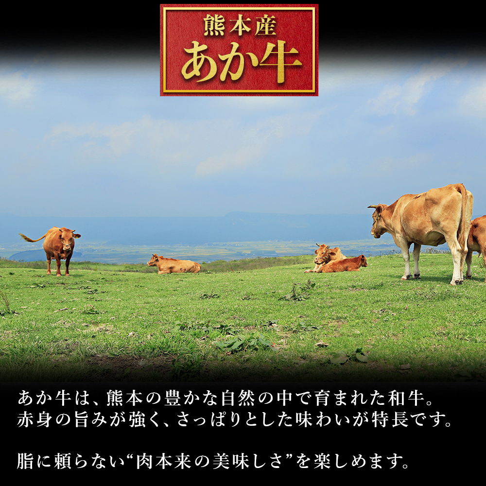 熊本産 あか牛 切り落とし 500g 肉 訳あり