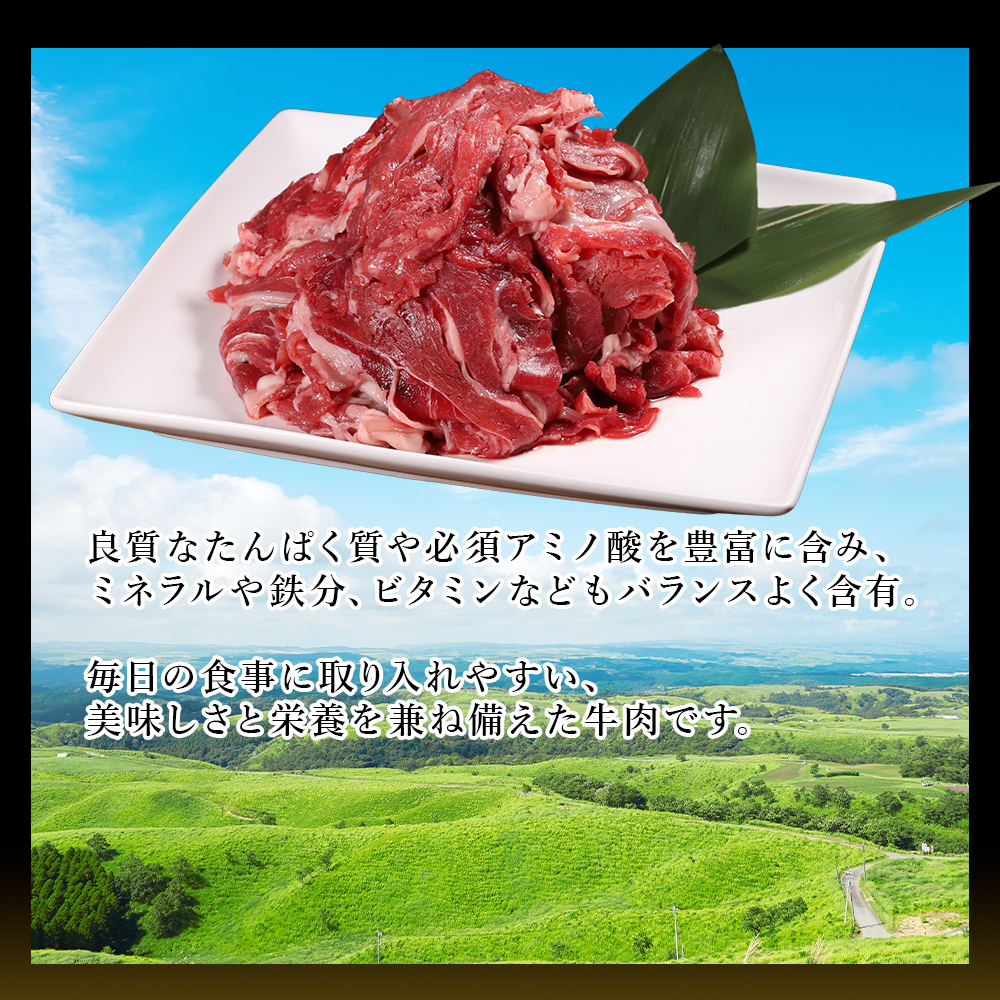 熊本産 あか牛 切り落とし 500g 肉 訳あり