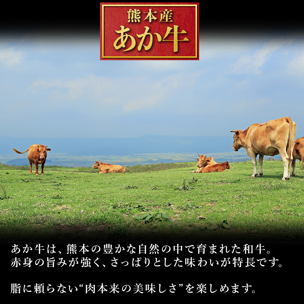 熊本産 あか牛 焼肉用 500g