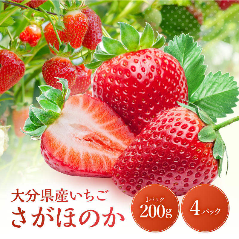 大分県産いちご さがほのか 約 800g ( 200g×4パック )