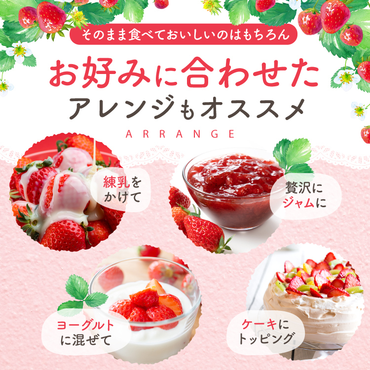 大分県産いちご さがほのか 約 800g ( 200g×4パック )
