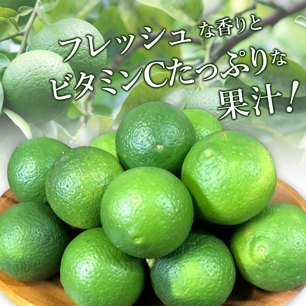 大分県産 かぼす 約 1.8kg