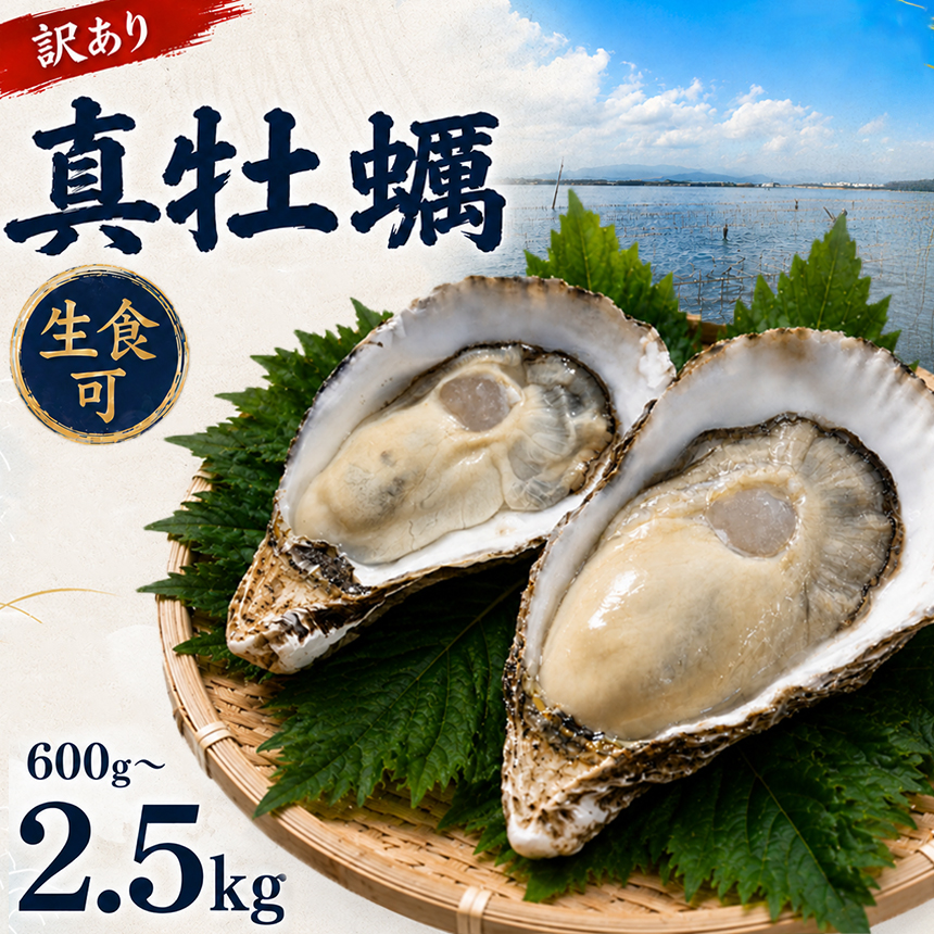 【訳あり】殻付き真牡蠣 選べる 内容量 600g ～ 2.5kg