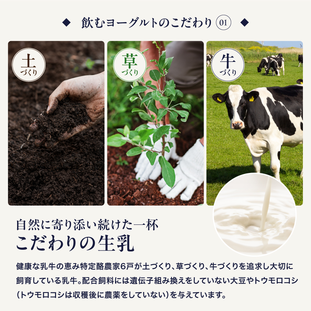 下郷農協 飲むヨーグルトS-1（150ml×8本・500ml×3本入り）