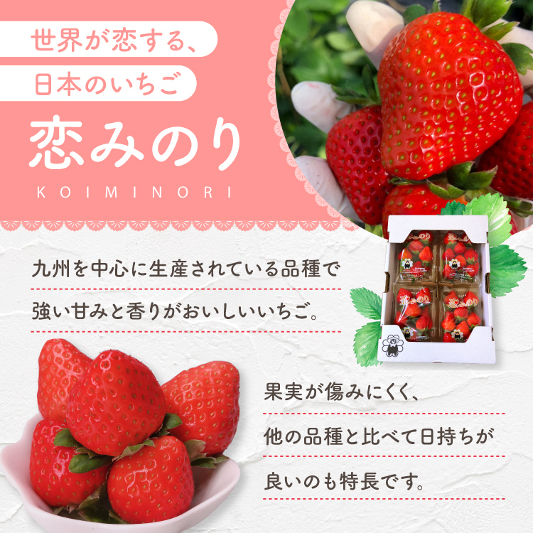 選べる ベリーツ / 恋みのり 250g前後 × 2 ～ 6パック ( 約500g～1500g ) 発送回数 1回 / 2回 食べ比べ